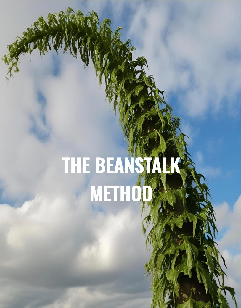 The Beanstalk Method